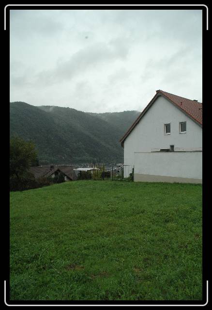 Nächstes Bild