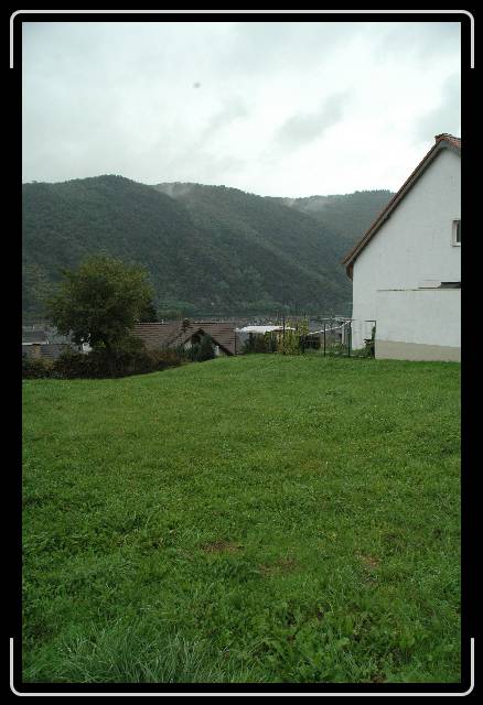 Nächstes Bild