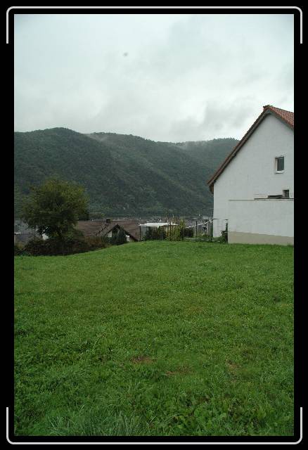 Nächstes Bild