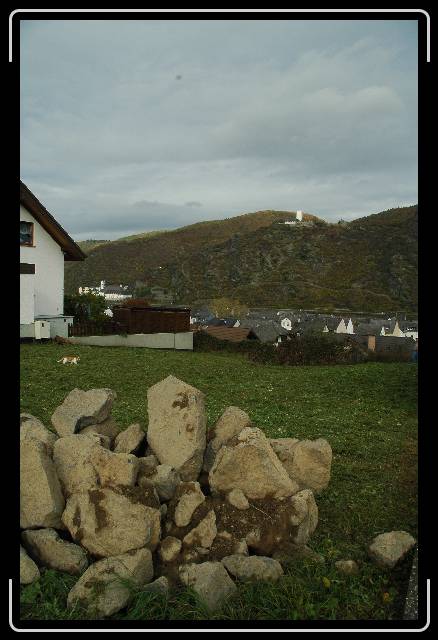 Nächstes Bild