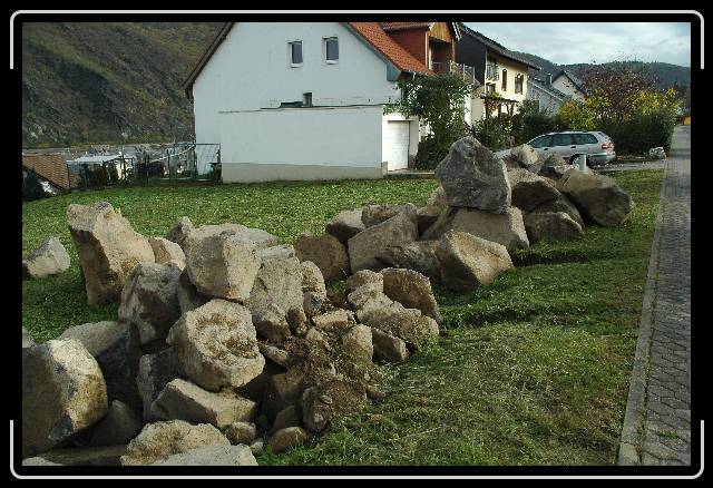 Nächstes Bild