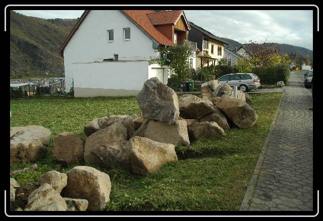 Nächstes Bild