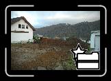 2005-11-17 * (9 Fotos)