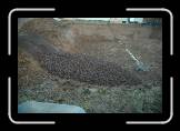 0102 * 3008 x 2000 * (3.07MB)